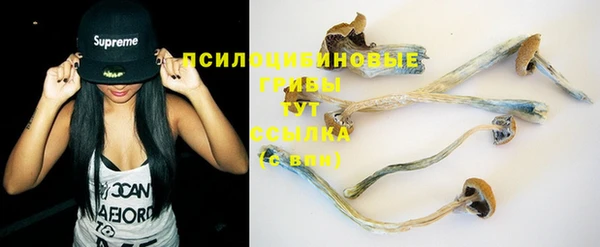 шишки Абинск