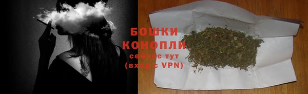 шишки Абинск