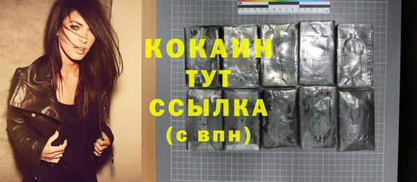 индика Приозерск