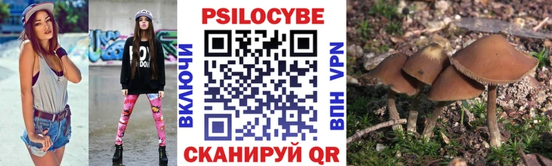 Псилоцибиновые грибы мухоморы ссылка на мегу зеркало Галич